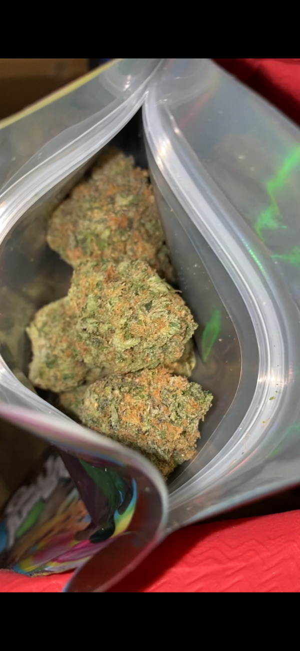 Wizard Trees - Wizzy